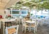 Avli: Welcome to the coziest yard in Aegina!
