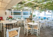 Avli: Welcome to the coziest yard in Aegina!