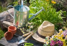 Τι είναι η οικοθεραπεία και πως θα βελτιώσει τη ζωή σου