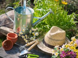 Τι είναι η οικοθεραπεία και πως θα βελτιώσει τη ζωή σου