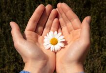 Είναι αυτή η ζωή που ονειρευτήκαμε να ζούμε;