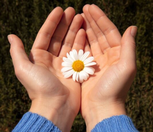 Είναι αυτή η ζωή που ονειρευτήκαμε να ζούμε;