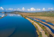 Messinia Challenge 2026: Αντίστροφη μέτρηση για την απόλυτη γιορτή αθλητισμού και ευεξίας