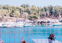 Bikini: Brunch, Cocktails & Summer Vibes