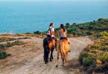 Greg’s Spetses Horses: Enjoy Spetses on horseback!