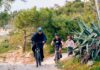 Aegina Bike Tours: A Different Way to Explore the Island!