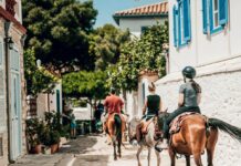 Harriet’s Hydra Horses: Ride Through Hydra’s Landscapes, History & Hidden Paths