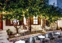 The Lemon Trees: A Mediterranean State of Mind